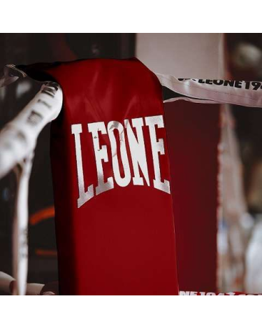 Esquineras para ring de boxeo Leone 1947 AT604